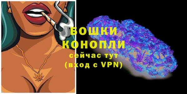 амф Няндома