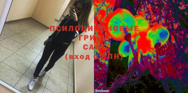 гидропоника Нязепетровск