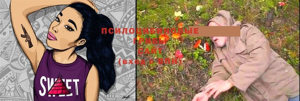 амф Няндома