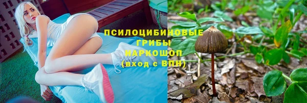 Альфа ПВП Нягань