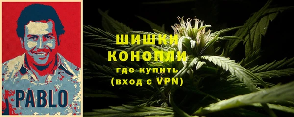амф Няндома