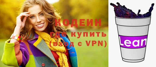 амф Няндома