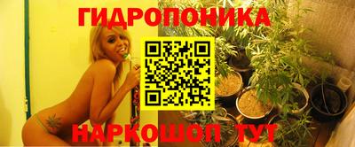 кокс Камышлов