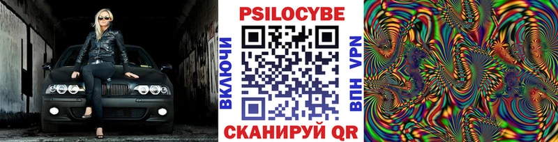 кракен как зайти  Новокубанск  Галлюциногенные грибы MAGIC MUSHROOMS 