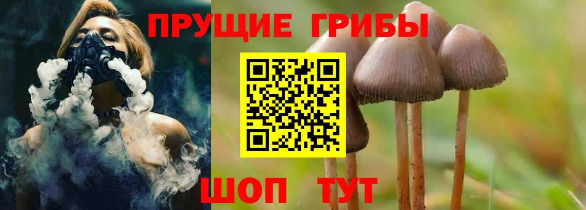 Новокубанск  Псилоцибиновые грибы Psilocybine cubensis  Вход с VPN  Галлюциногенные грибы ЛСД 