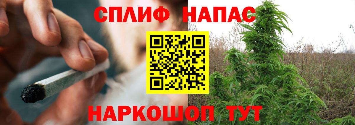 Шишки марихуана марихуана Новокубанск